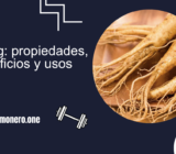 Ginseng: propiedades, beneficios y usos