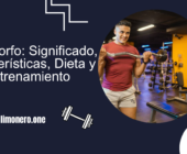 Endomorfo: Significado, Características, Dieta y Entrenamiento